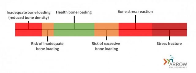 How Stressed Are Your Bones Arrow Physiotherapy How Stressed Are Your Bones Arrow Physiotherapy